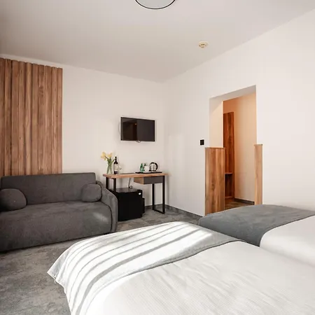 索尔尼酒店 威利兹卡