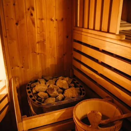 索尔尼酒店 3* 威利兹卡