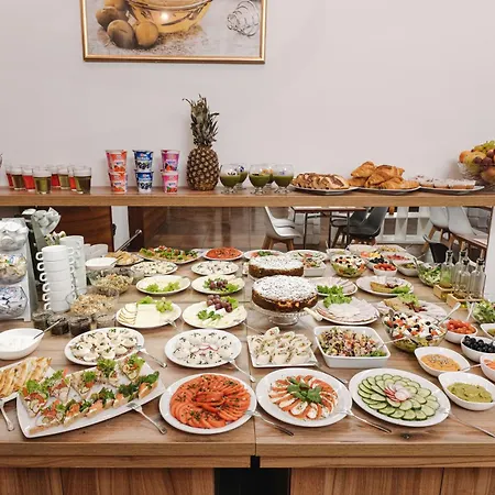 酒店 索尔尼酒店