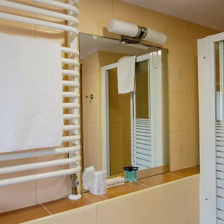 索尔尼酒店 威利兹卡